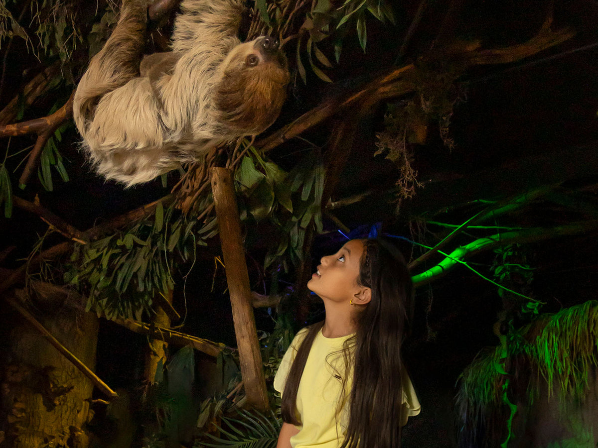 DierenPark Amersfoort - afbeelding 6