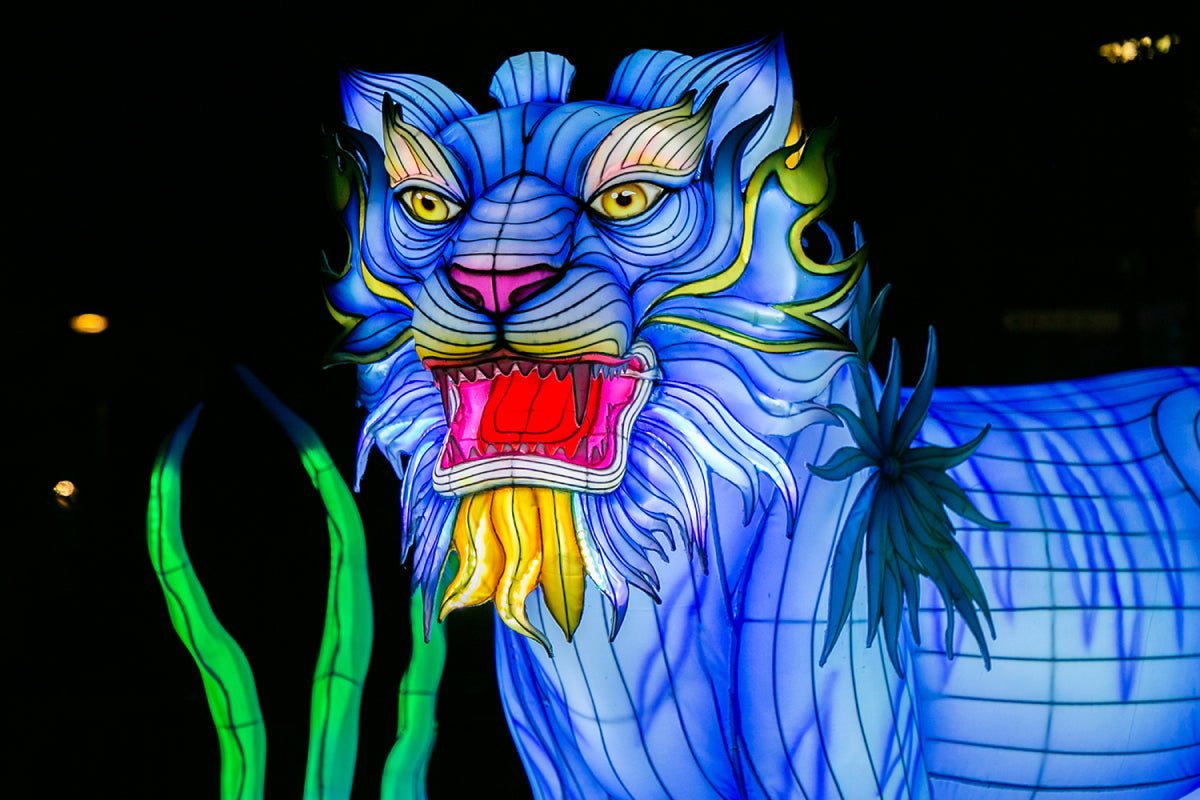 Ouwehands Dierenpark - Light Nights - afbeelding 5